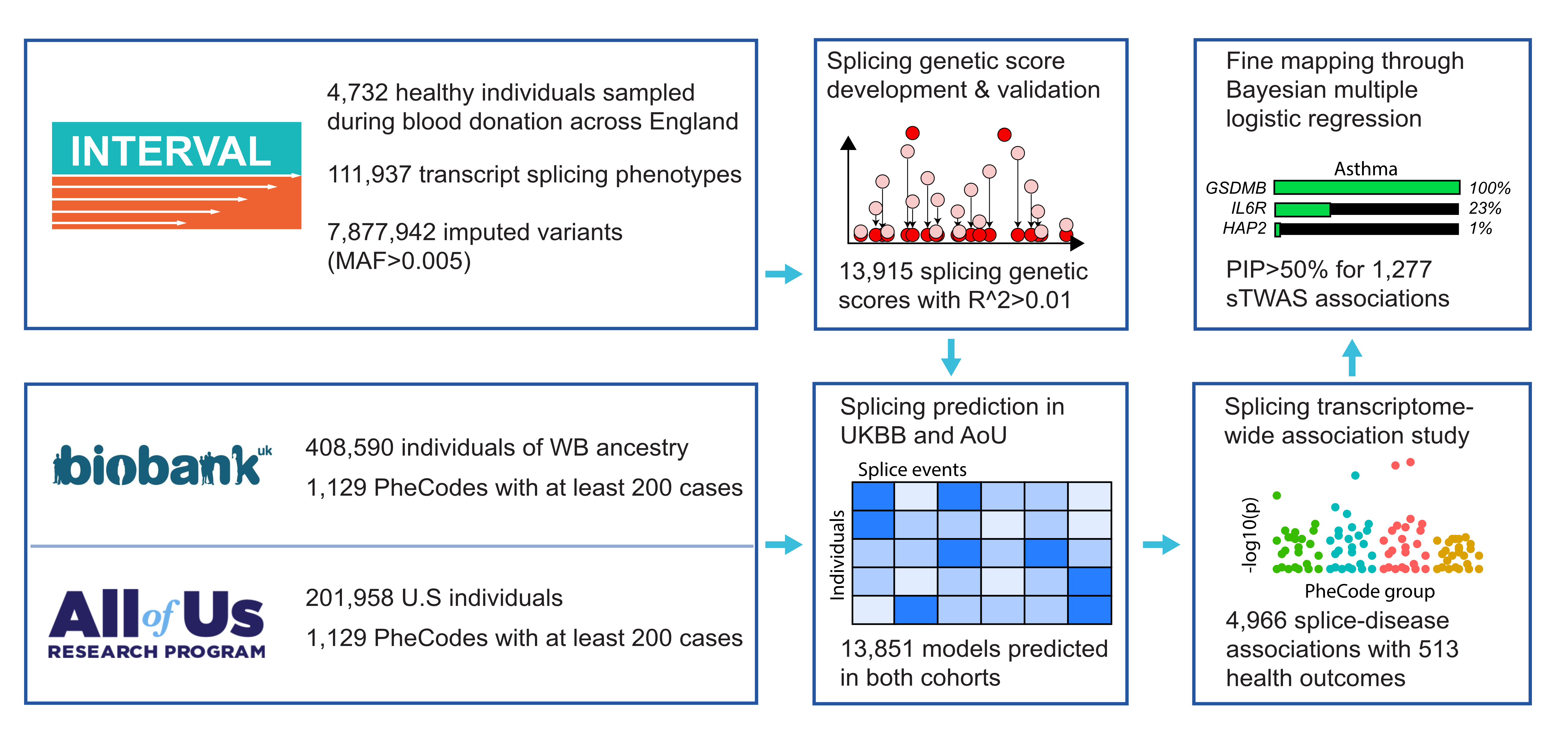 sTWAS graphical abstract
